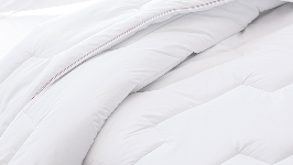 Photo qui montre un biais