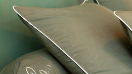 Photo qui montre un Passepoil