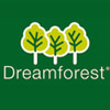dreamforest
